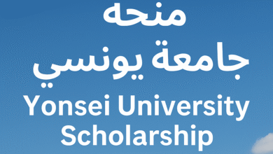 شروط منحة جامعة يونسي