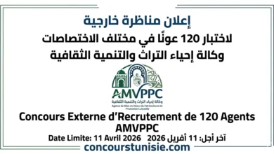 وكالة إحياء التراث والتنمية الثقافية