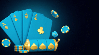 Nová Tuzemské Casino: Komplexní Manuál Určený Hráče