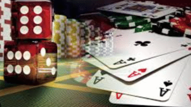 Experience Bet Ninja Casino: Your Entry Point to Elite Gambling Experience