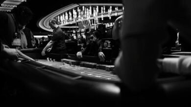 mainphotobanner8